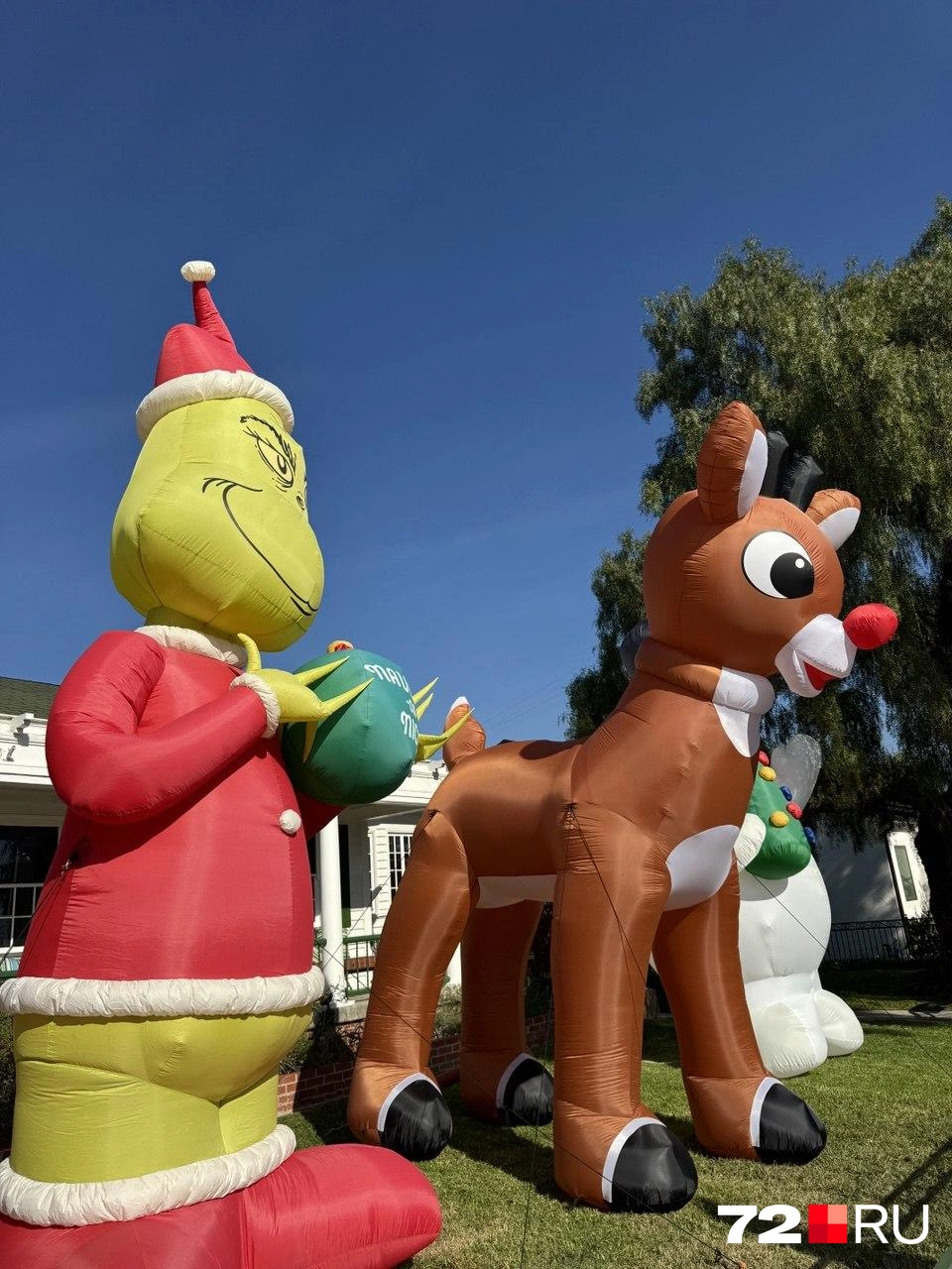 Надувные Бемби, снеговики и Гринч&nbsp;— похититель Рождества | Источник: читатель 72.RU