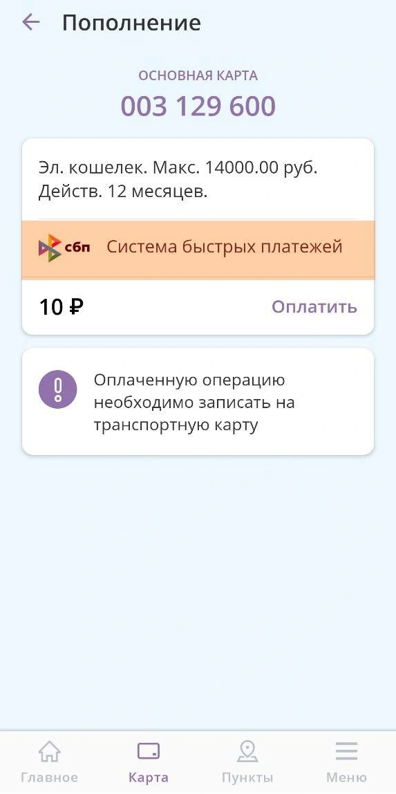 Внести деньги можно через СБП, а это дело одной минуты | Источник: читатель E1.RU