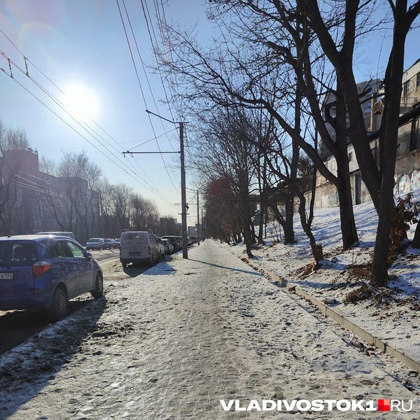 Источник: Елена Буйвол / VLADIVOSTOK1.RU