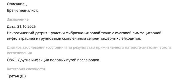 На биопсию отправляли и фрагменты воспаленного большого сальника | Источник: читатель E1.RU