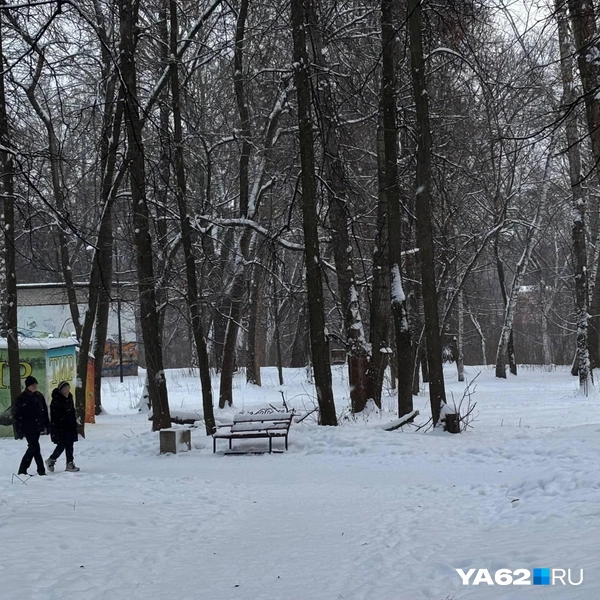 Реже в парке встречались пожилые люди | Источник: Виктория Улитова / YA62.RU