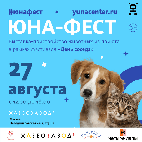 Питомец в добрые руки: в Москве пройдет выставка-пристройство собак и кошек