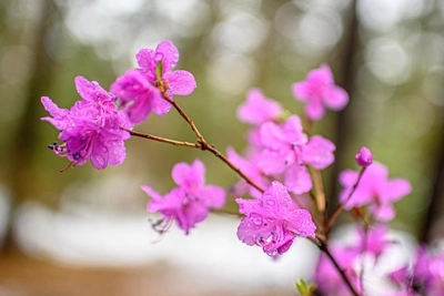 Синоптики рассказали о погоде на субботу в Забайкалье