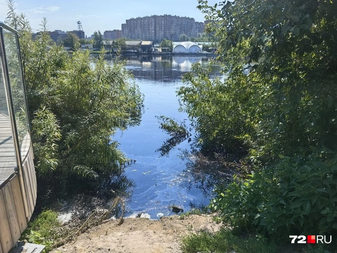 Начинаем прогулку. Такая ситуация на Береговой, недалеко от Профсоюзного моста  | Источник: Павел Красоткин / 72.RU 