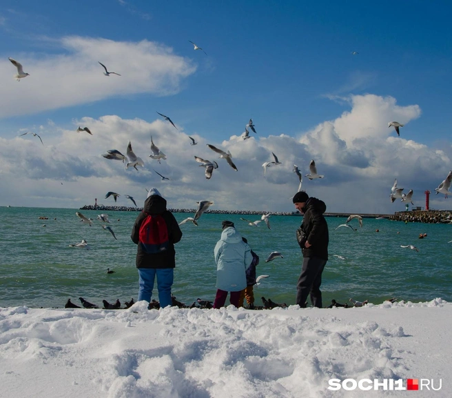 Белые пляжи в Сочи — большая редкость | Источник: Оксана Витязь / SOCHI1.RU