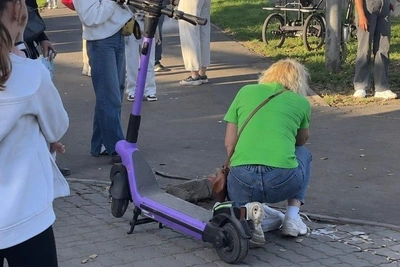 В Красноярске ищут самокатчика после гибели собаки на Татышеве