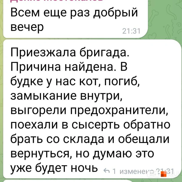 В будке нашли тела трех животных | Источник: читательница E1.RU