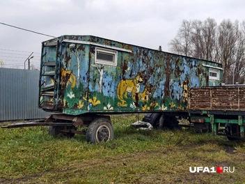 Источник: Булат Салихов / UFA1.RU