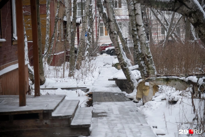 Источник: Иван Митюшёв / 29.RU