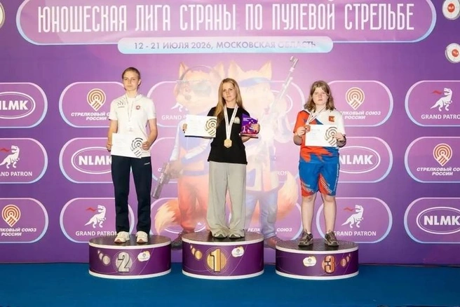 Источник: st.cherinfo.ru