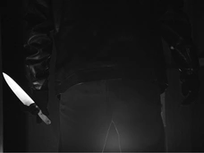 Искал нянь по объявлениям и убивал: в Подмосковье задержали богородского маньяка Дмитрия Артамошина