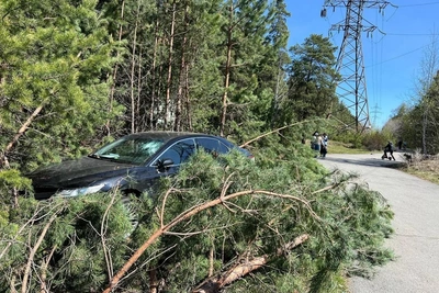 В городском бору Челябинска нашли оставленную Camry