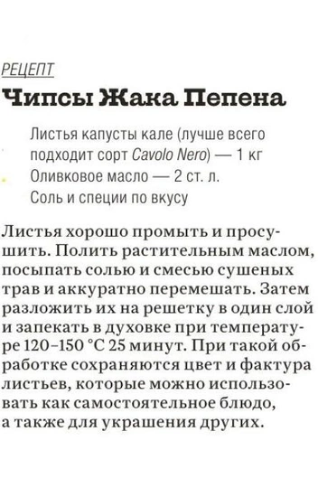 Бодрящий овощ: как капуста заслужила звание национального русского продукта