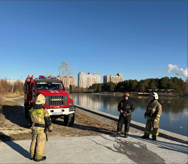 Источник: администрация Сургута