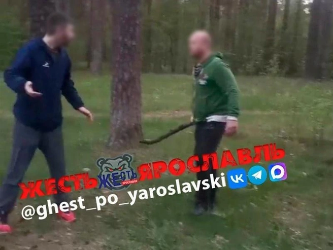 Конфликт в Ярославле из-за выгула собаки | Источник: Жесть Ярославль / Vk.com