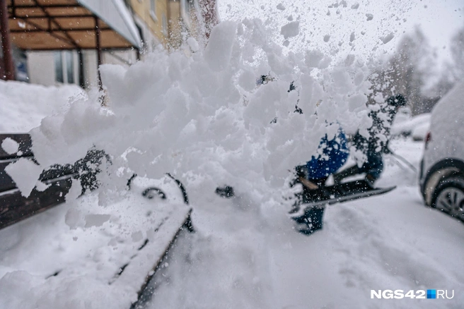 Источник: Максим Серков / NGS42.RU