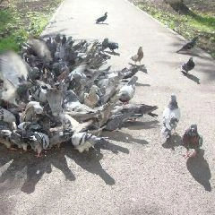 Помните о мерах предосторожности в связи с грозами! | Источник: www.city-n.ru