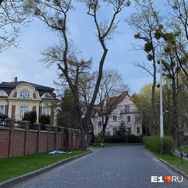 Источник: Ирина Порозова / E1.RU