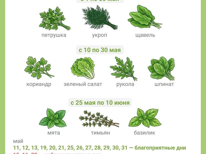 Перечень благоприятных и неблагоприятных дней для посадки зелени в мае и июне | Источник: Юрий Орлов / Городские медиа