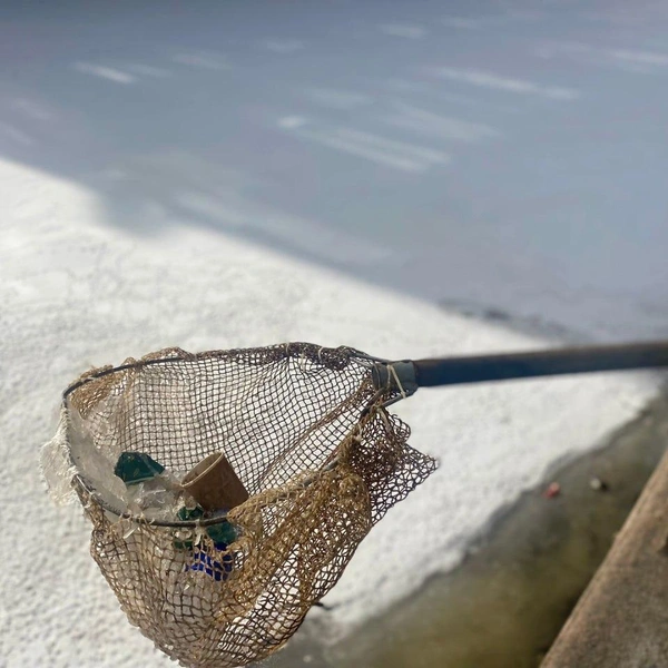 Источник: СПб ГБУ «Экострой»