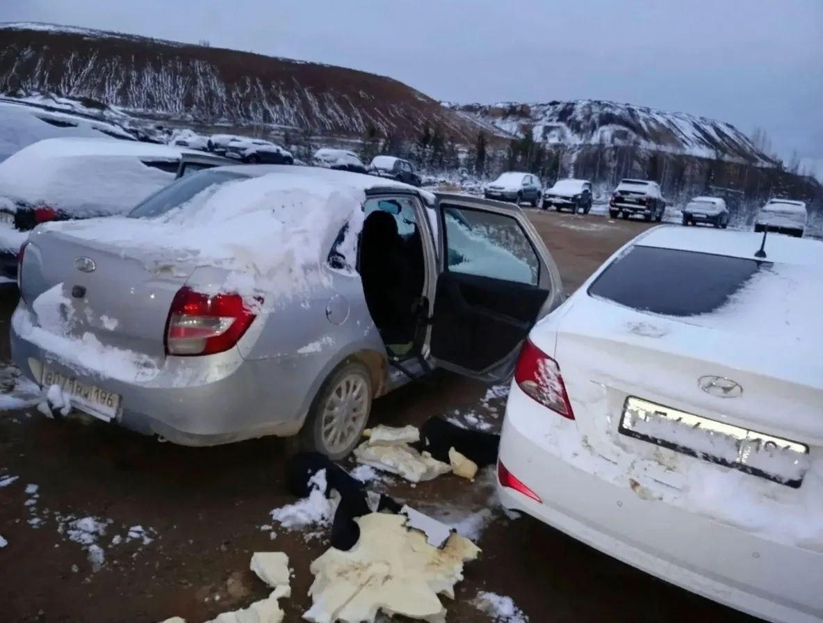 На Урале медведь выбежал на парковку и раскурочил десять машин: видео погрома