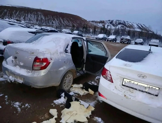 Медведь раскурочил около десяти автомобилей | Источник: ekb.serov / Vk.com