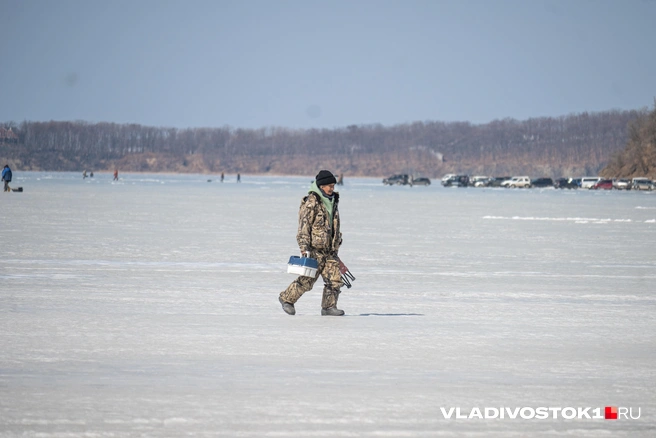 Источник: Елена Буйвол / VLADIVOSTOK1.RU