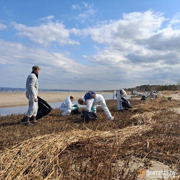 Источник: Анна Мотовилова / FONTANKA.RU