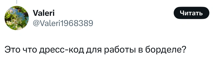 Источник: X (Twitter)