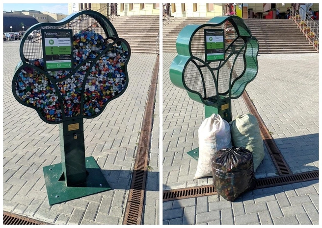 Скорость наполнения деревьев зависит от трафика | Источник: Экодвижение «Зеленый хоровод»