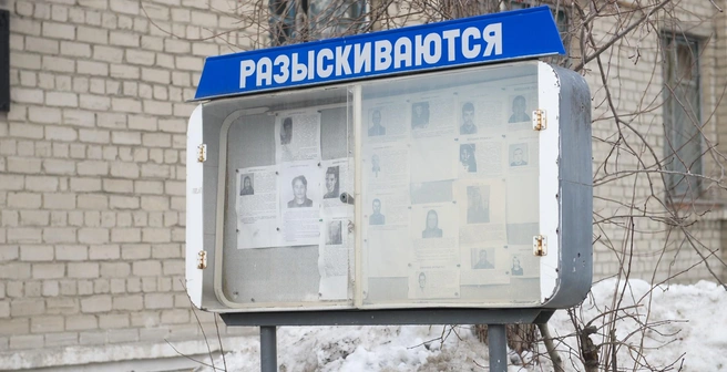 Москалькова рассказала о сотнях пропавших жителей Курской области | Источник: Артём Устюжанин / E1.RU