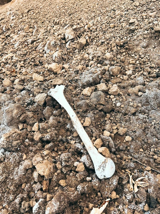 Источник: Красивые места России | Колоткин Игорь / Vk.com