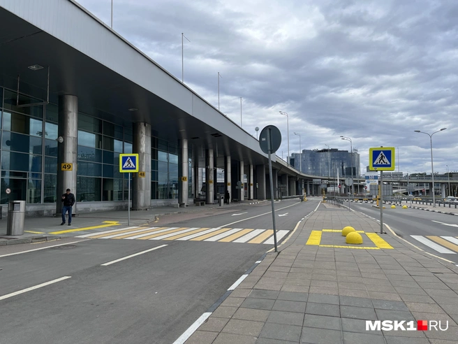 Количество авиарейсов между Москвой и Геленджиком увеличат | Источник: Виктория Чулюкина / MSK1.RU