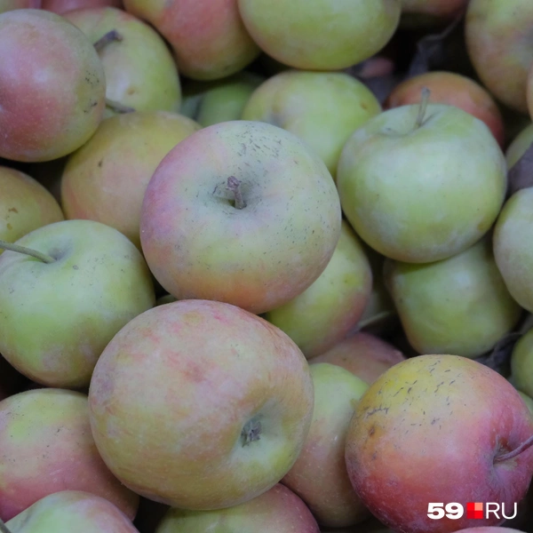 Яблоки по 92 рубля | Источник: Тимофей Калмаков / 59.RU