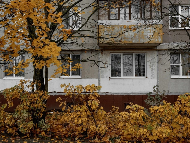 Жаль, что это золото скоро перестанет прикрывать собой местные дворы | Источник: Александр Куренной / 76.RU