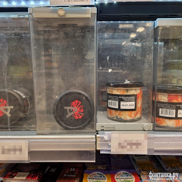 Источник: Наталья Вязовкина / FONTANKA.RU