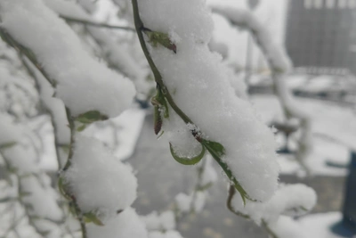 Штормовое предупреждение МЧС действует в Рязанской области
