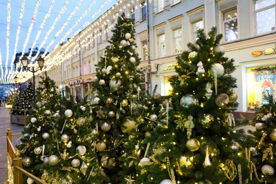 Губернатор Солнцев о новогоднем настроении и снеге