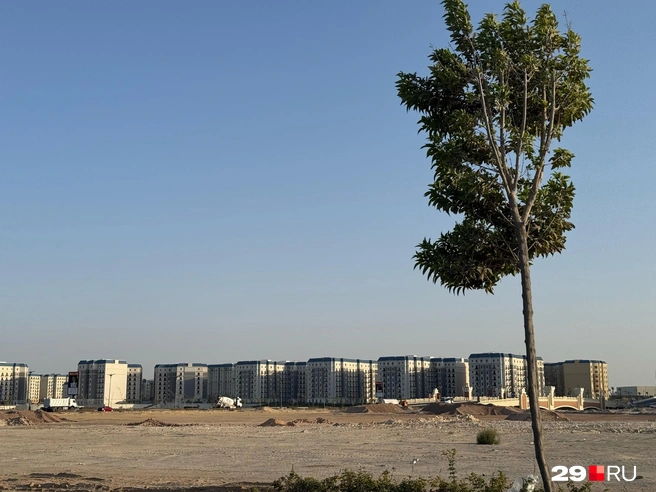 Многие ЖК еще недостоены | Источник: Валерия Богатырёва / 29.RU