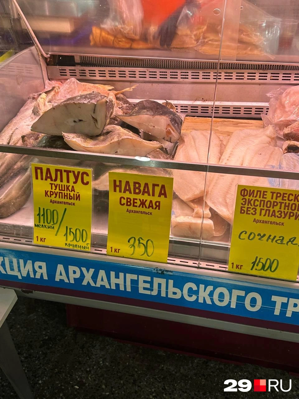 Навага, палтус и треска из Архангельска | Источник: Анастасия Гусева / 29.RU