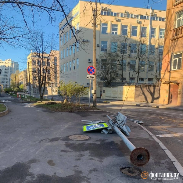 Источник: читатель «Фонтанки» Дмитрий