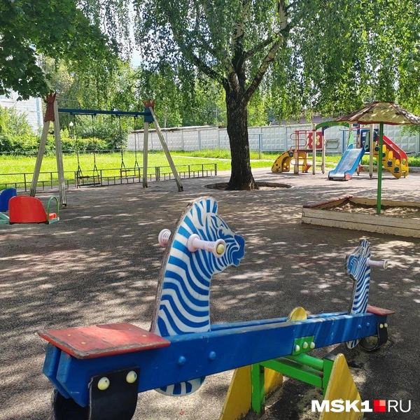 Источник: Михаил Мечев / MSK1.RU