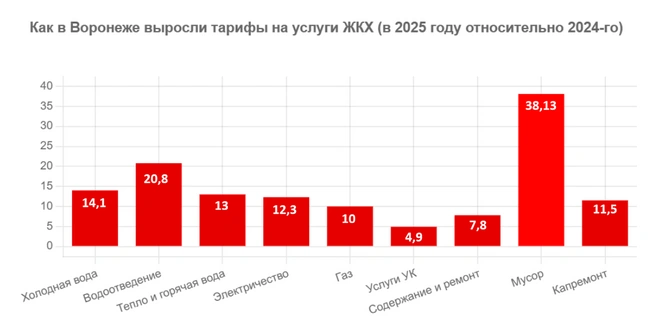 Такой рост стоимости вывоза мусора объясняется не только увеличением тарифа, но и отменой понижающего коэффициента в начале года | Источник: Алена Воропаева / Voronezh1.ru