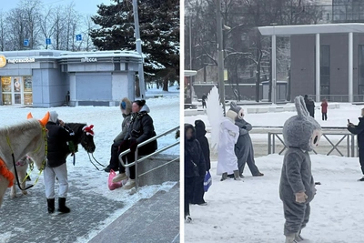 Цирк Ярославля против незаконных конных прогулок