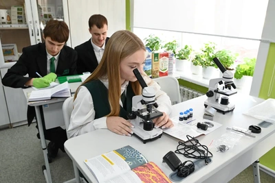 В шести населенных пунктах Приамурья откроются агроклассы