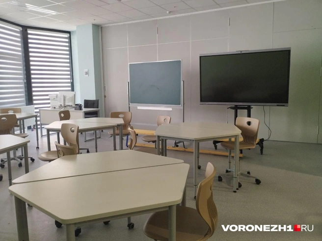 Источник: Дмитрий Волгин / Voronezh1.ru
