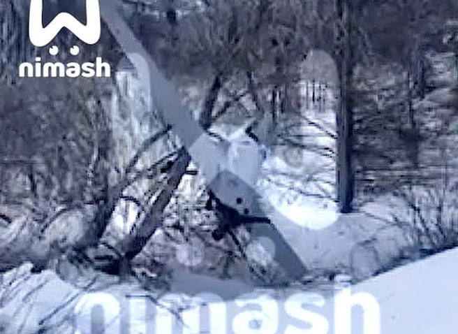 Стала известна вероятная цель дронов, упавших под Нижним Новгородом | ya62.ru