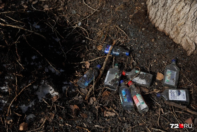 Кто-то настолько весело проводил время, что не удосужился прибрать за собой | Источник: Ирина Шарова / 72.RU