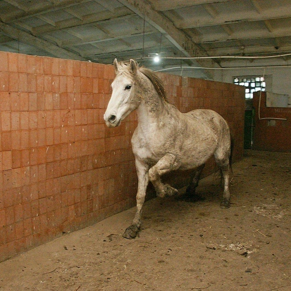 Источник: Александр Зинченко / Voronezh1.ru