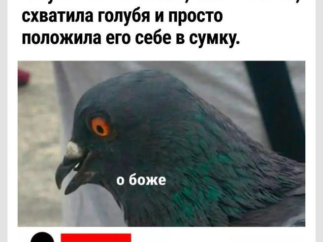 Делаем выводы | Источник: Городские медиа